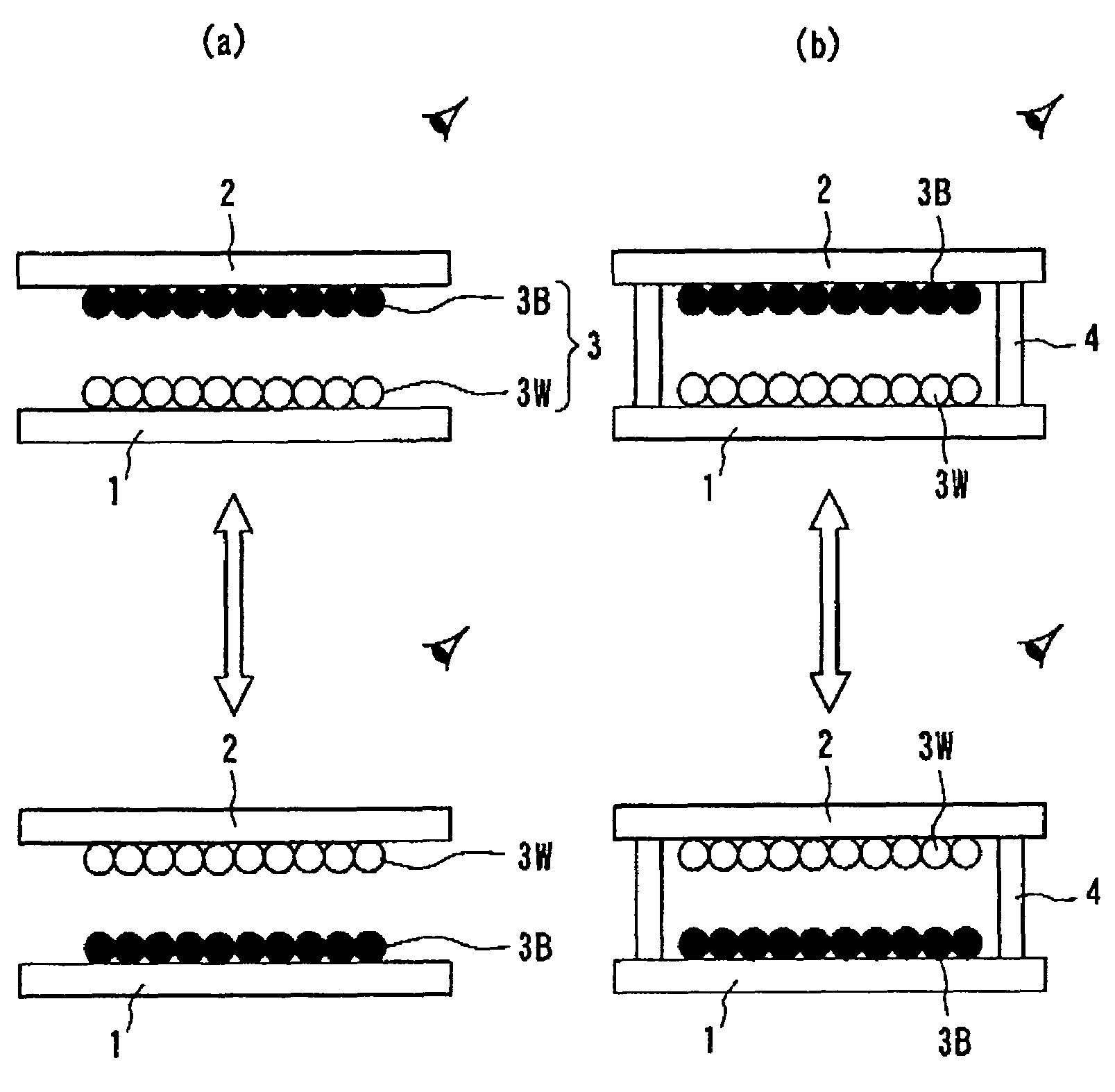 White color particles for display media and information display device utilizing them