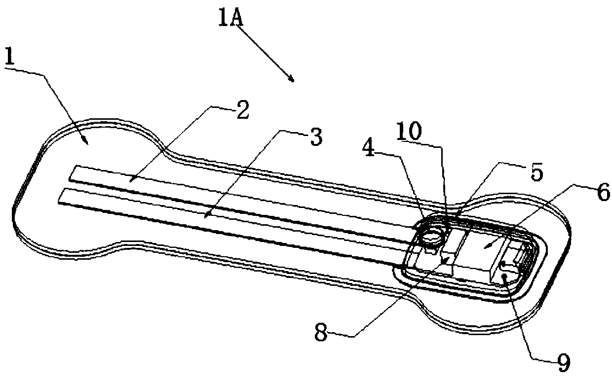 Vertebral physiological curvature monitoring device and method