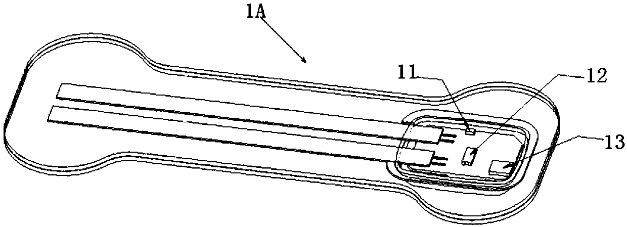 Vertebral physiological curvature monitoring device and method