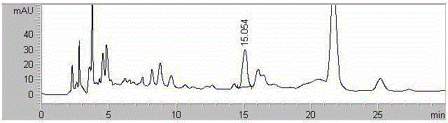 Method for measuring content of verbascoside in callicarpa nudiflora preparation