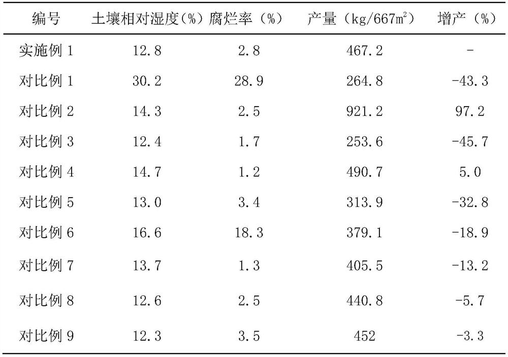 A cultivation method of Cistanche tubulosa suitable for saline-alkali areas in the Yellow River Delta