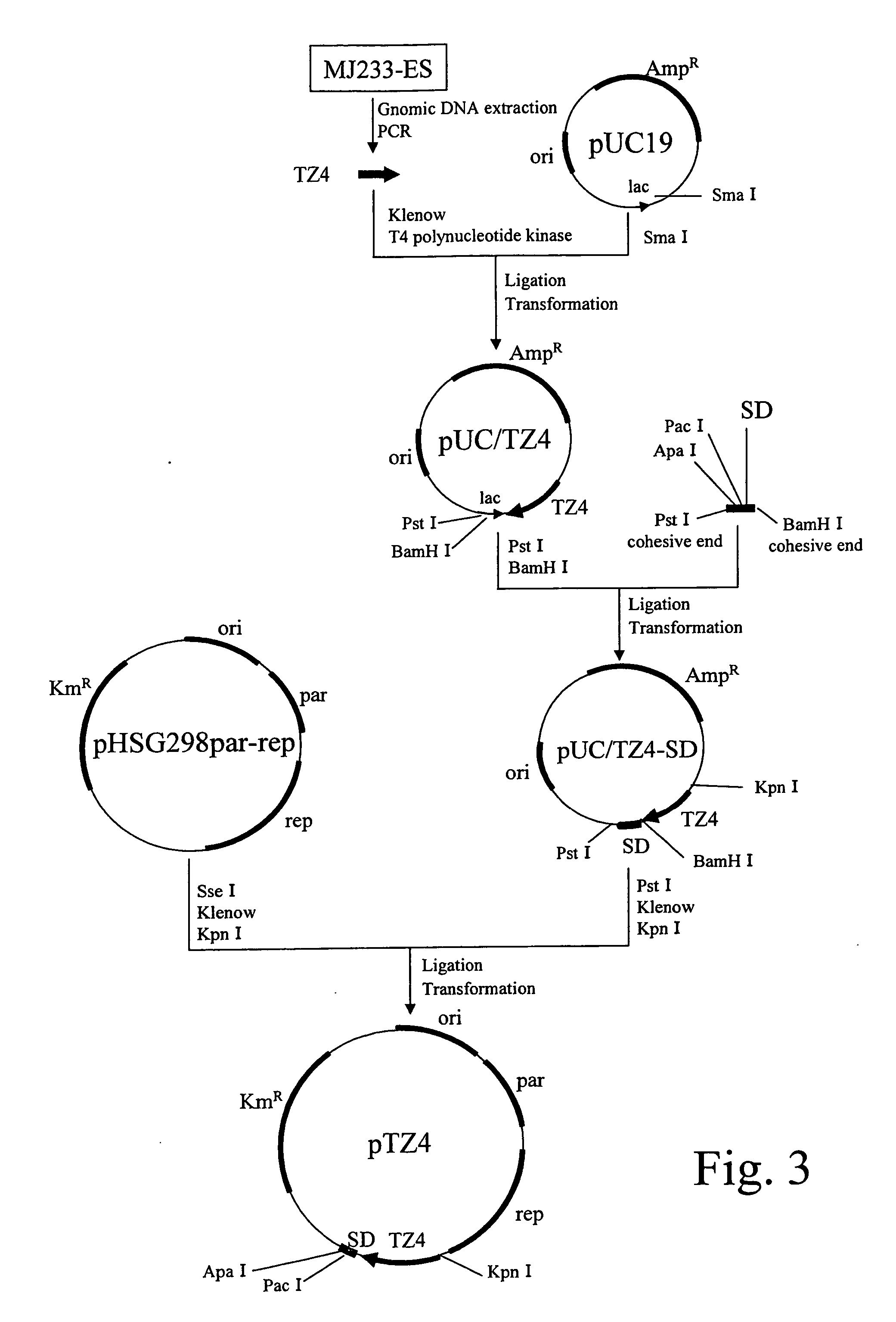 Method for producing non-amino organic acid