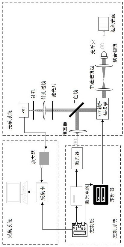 Confocal endoscope image correction method and system based on fiber optic probe