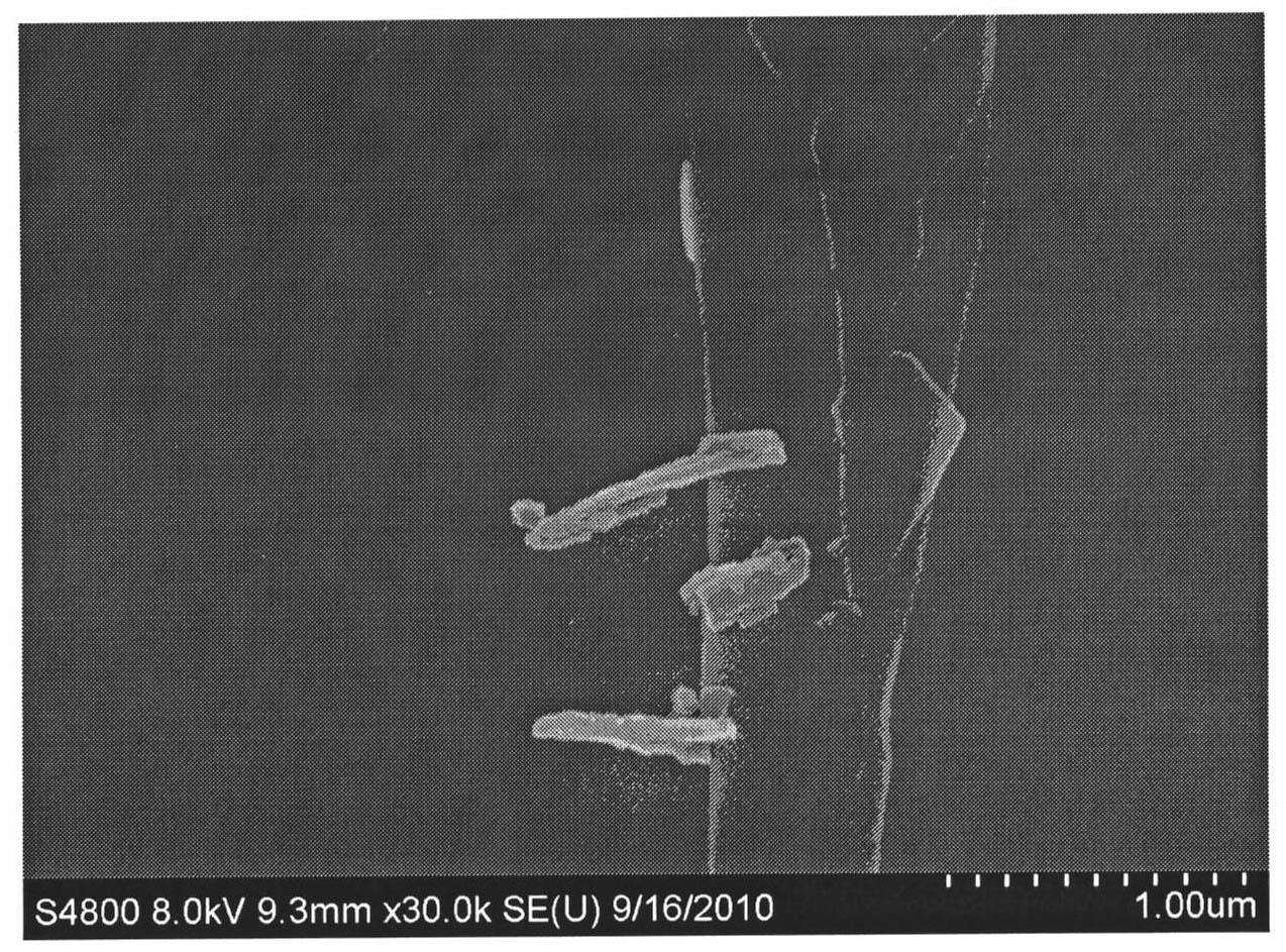 Nanophase doped bismuth telluride-based thermoelectric material and preparation method thereof