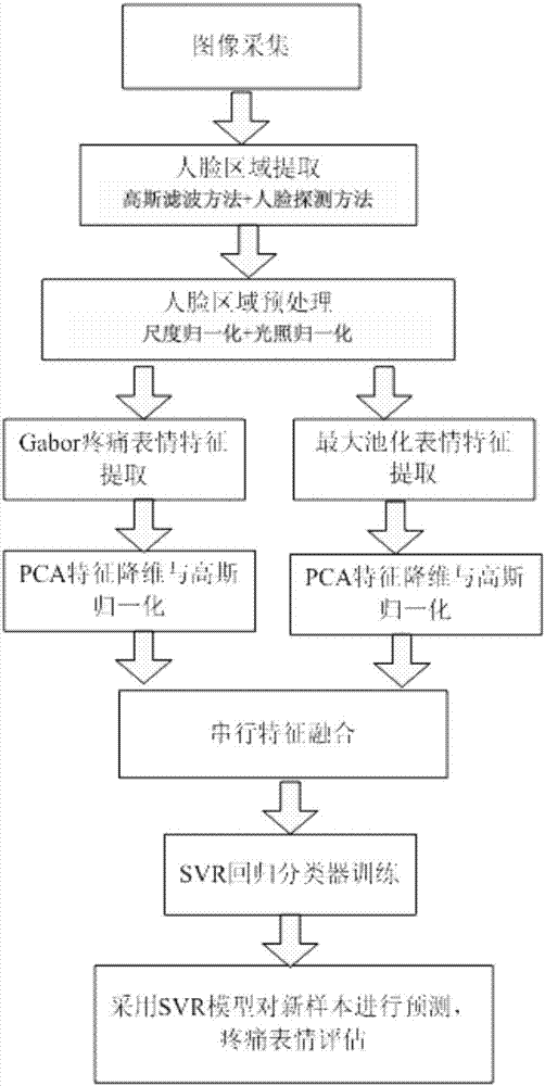 Method for evaluating pain by face expression