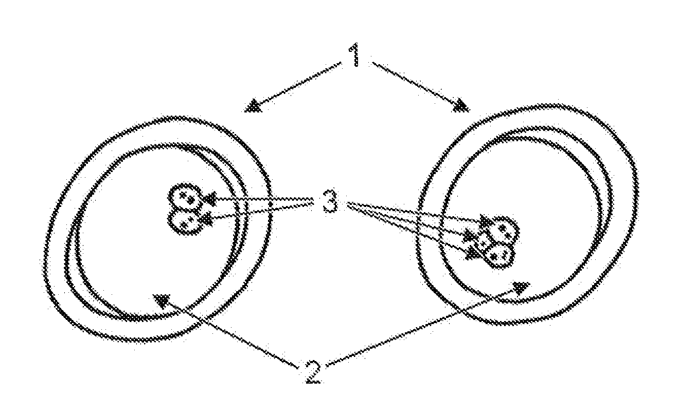 Analysis of ova or embryos with digital holographic imaging