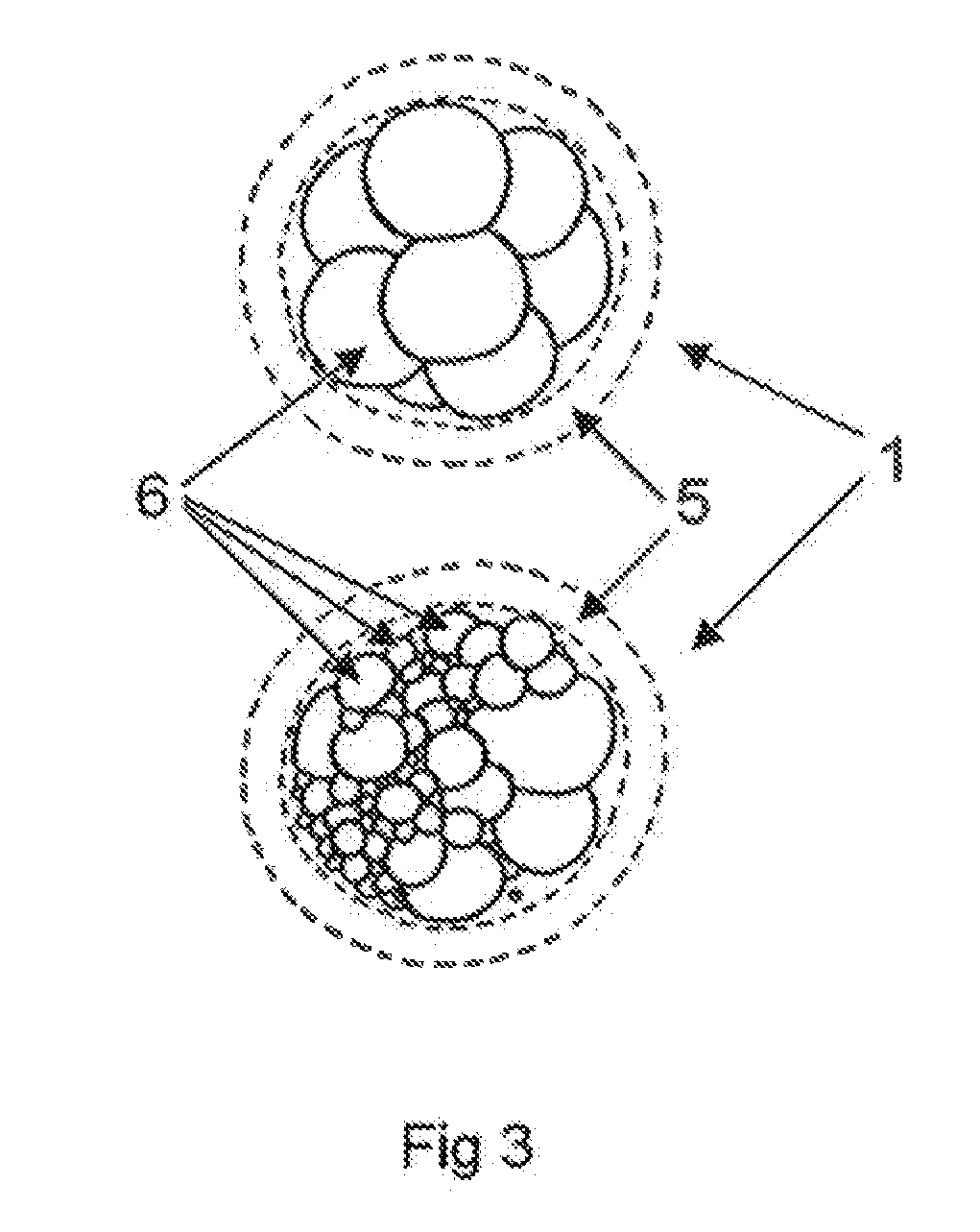 Analysis of ova or embryos with digital holographic imaging