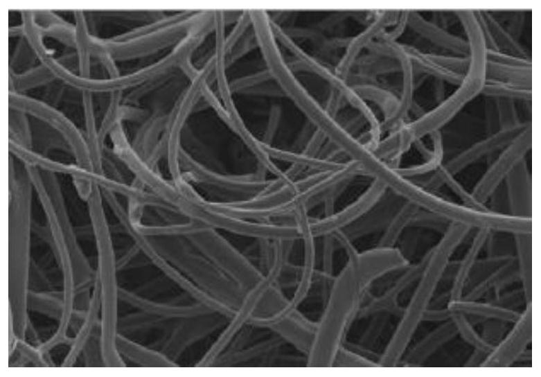 A kind of PBS/PP two-component melt-blown fiber filter material and its manufacturing method