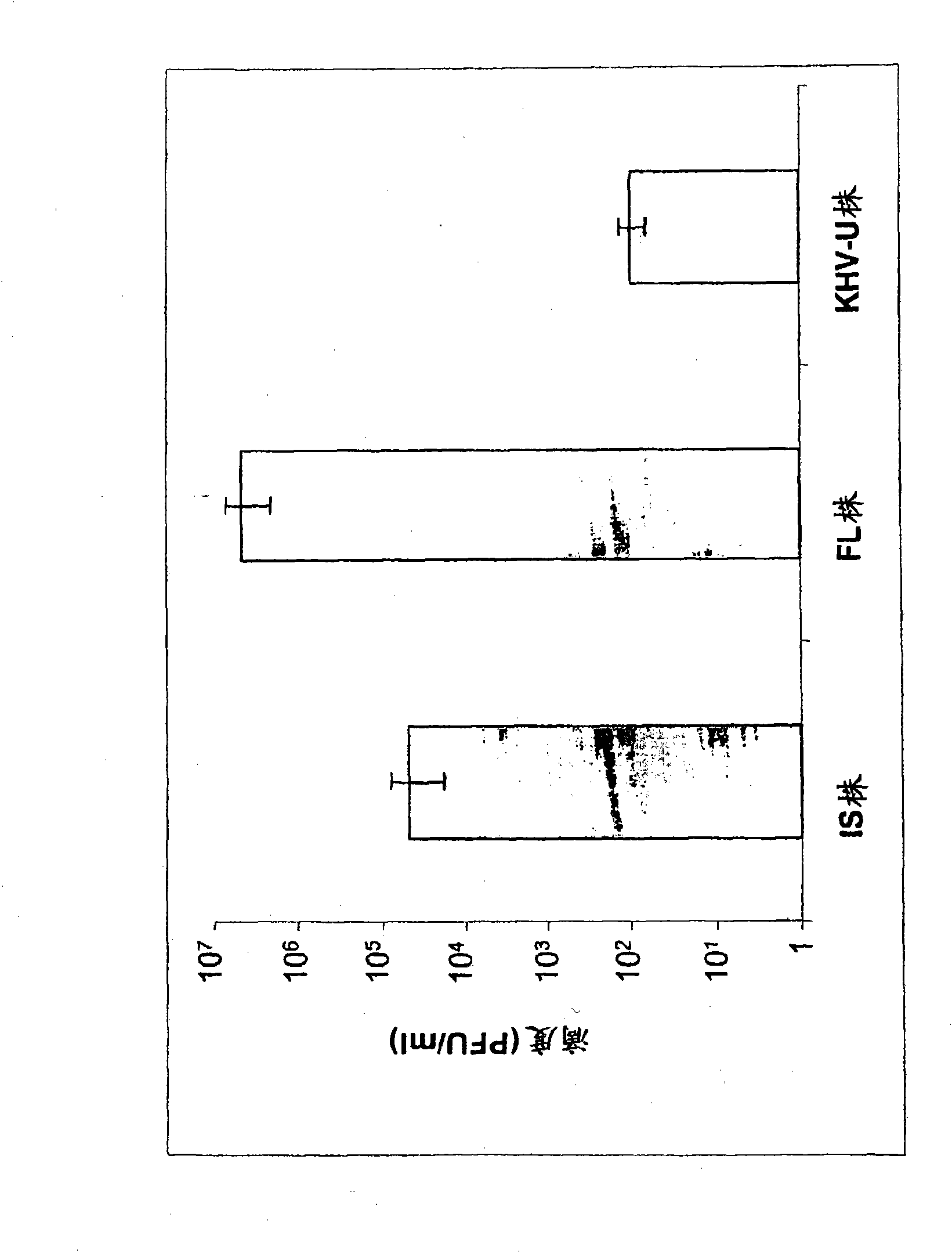 Recombinant koi herpesvirus (KHV) or cyprinid herpesvirus 3 (CyHV-3) and vaccine for the prevention of disease caused by KHV/CyHV-3 in cyprinus carpio carpio or cyprinus carpio koi