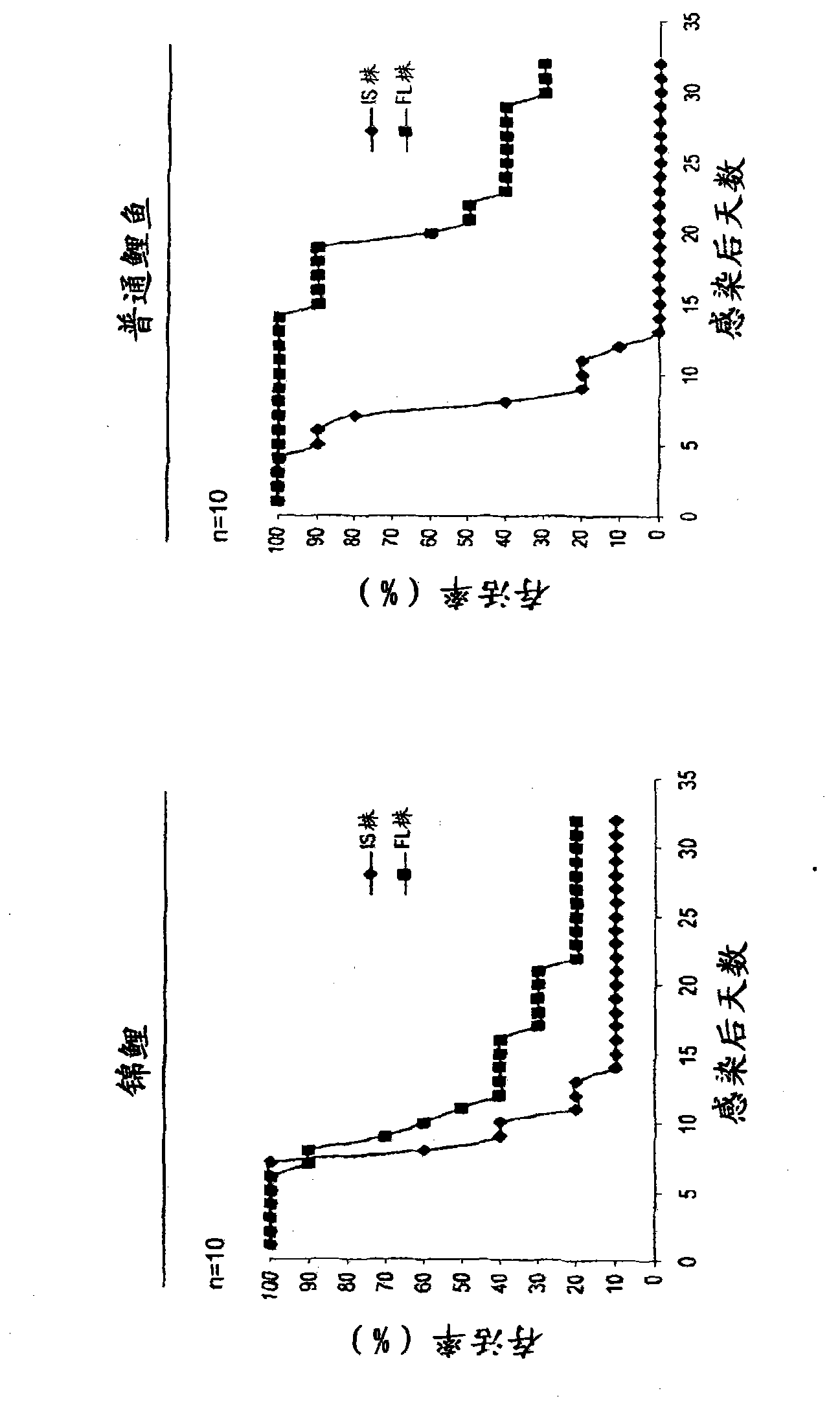 Recombinant koi herpesvirus (KHV) or cyprinid herpesvirus 3 (CyHV-3) and vaccine for the prevention of disease caused by KHV/CyHV-3 in cyprinus carpio carpio or cyprinus carpio koi