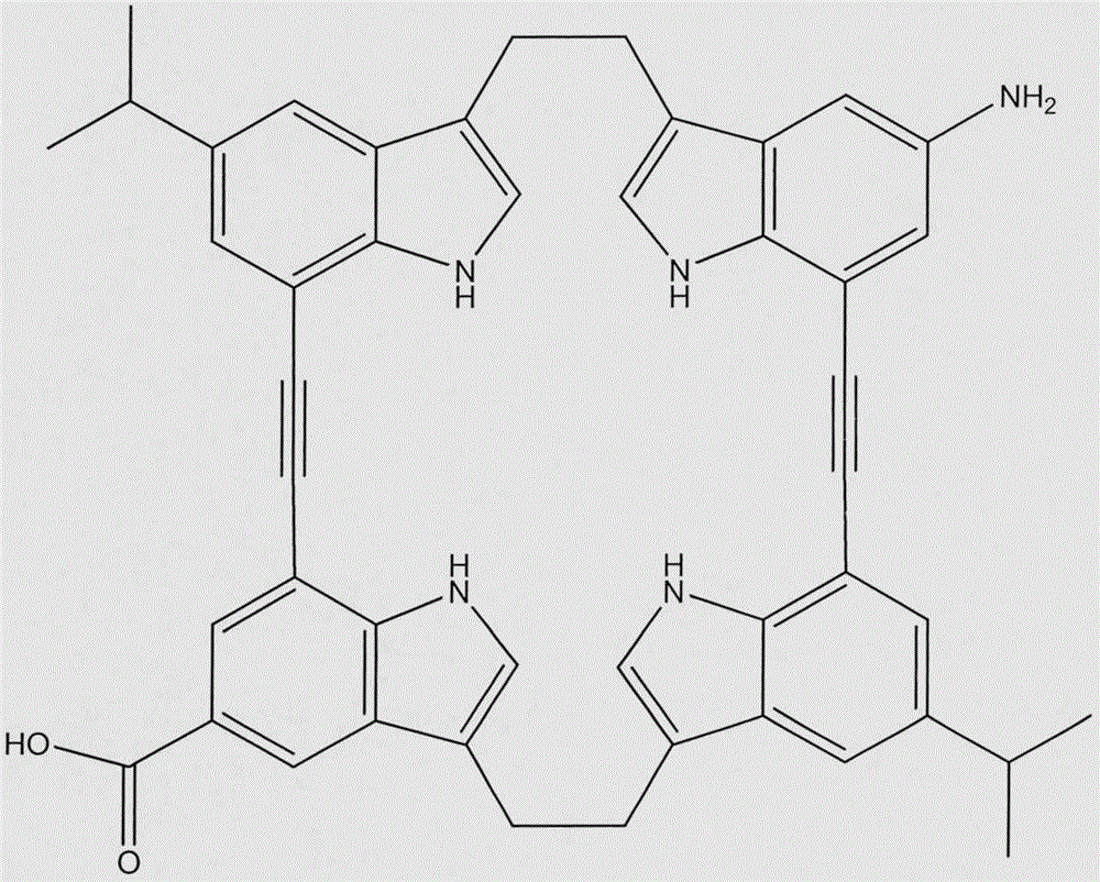 Preparation of macrocyclic molecule-modified nano silica capillary chromatographic column