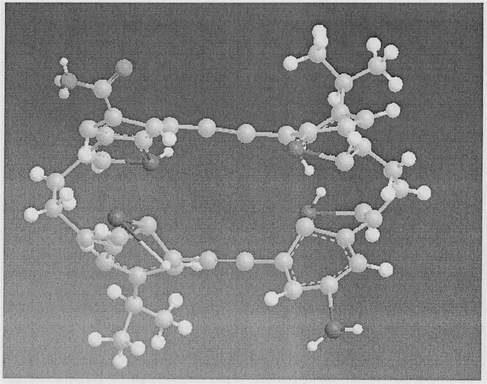 Preparation of macrocyclic molecule-modified nano silica capillary chromatographic column