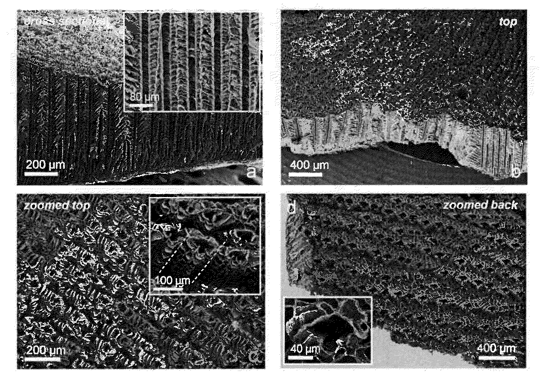 Highly porous solid material made of biodegradable polymer and method of fabricating, processing, and cell-seeding the same