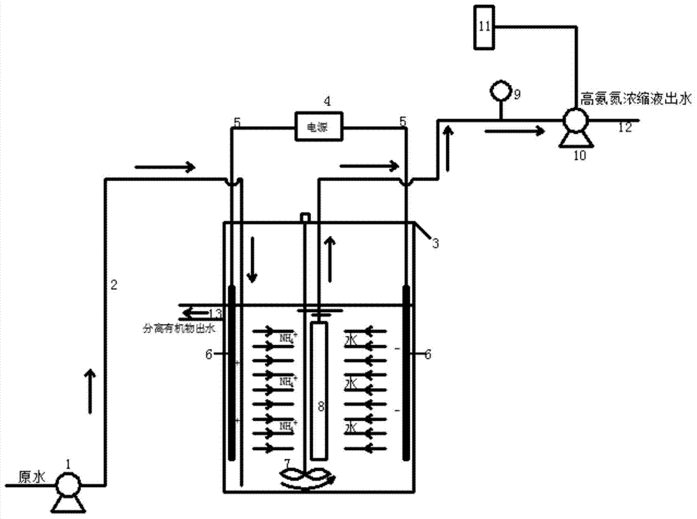 Method for efficiently enriching ammonia nitrogen ions in water based on membrane and electrode