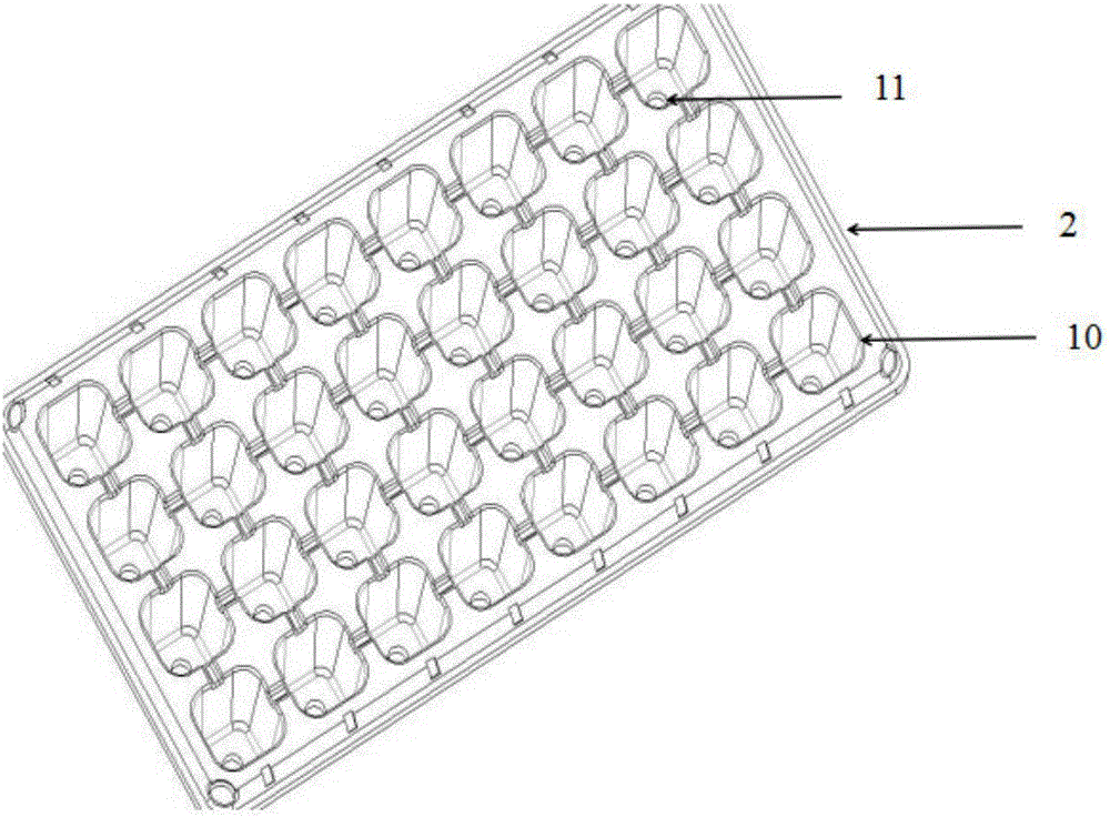 Solar breeding box for breeding paspalum notatum seeds