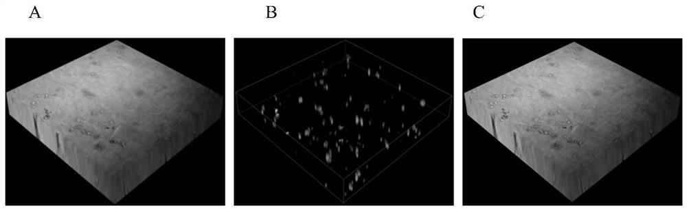 3D printing concentration gradient chip for research of model for improving HepG2 insulin resistance by pioglitazone