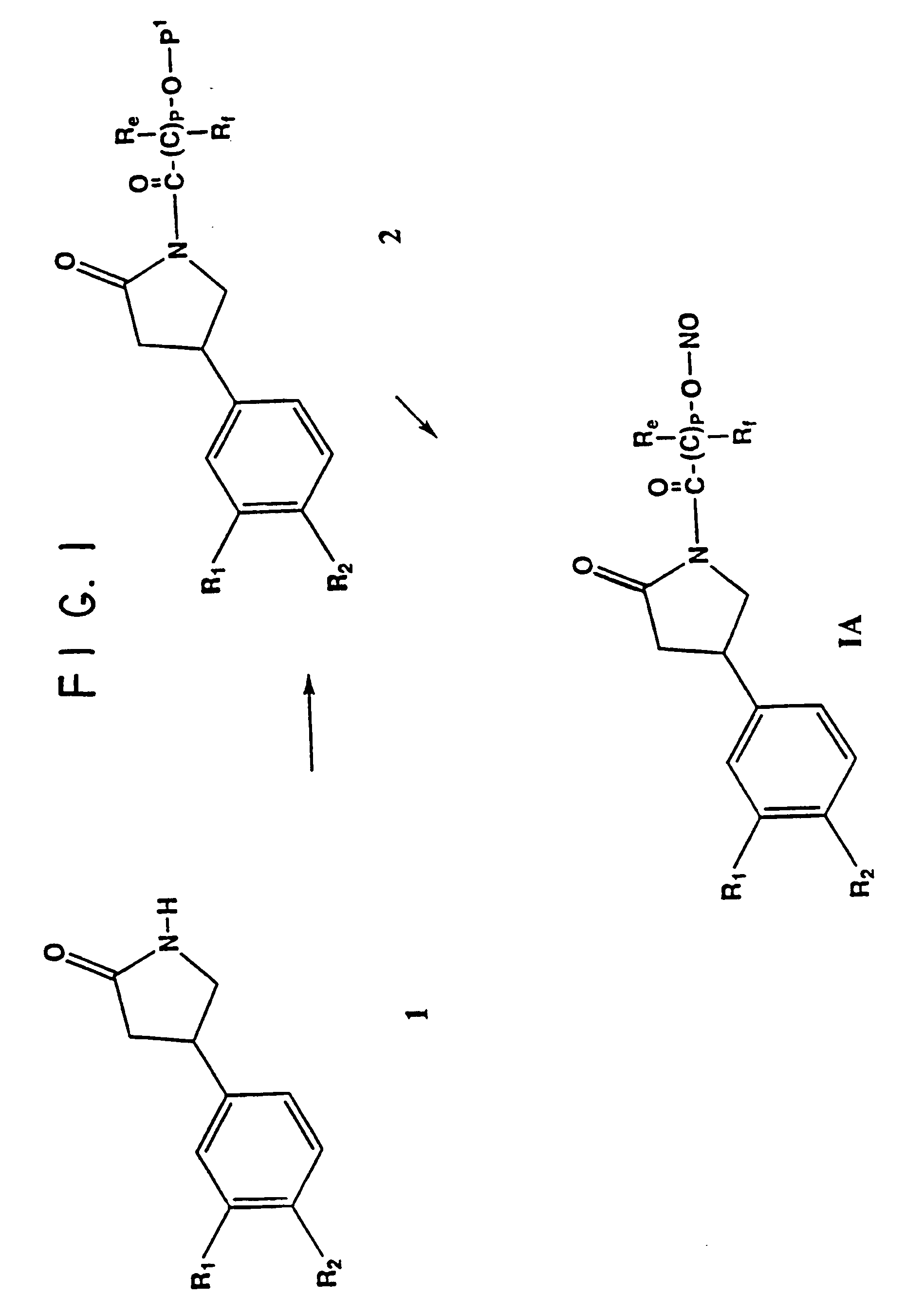 Phosphodiesterase inhibitor compounds and nitric oxide donors