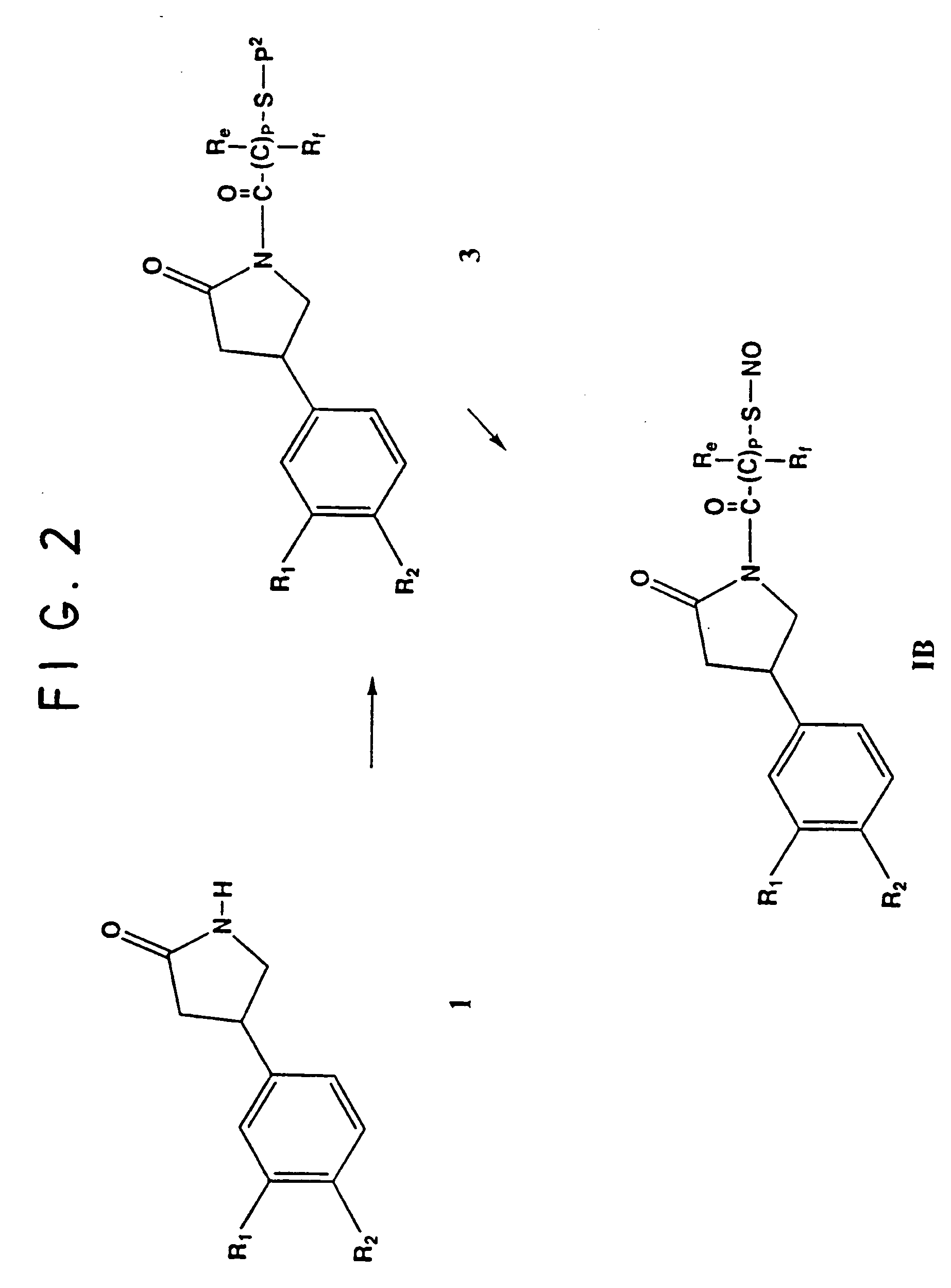 Phosphodiesterase inhibitor compounds and nitric oxide donors