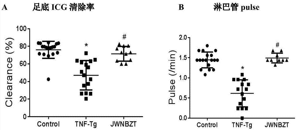 Compound preparation for treating rheumatoid arthritis and preparation method of compound preparation