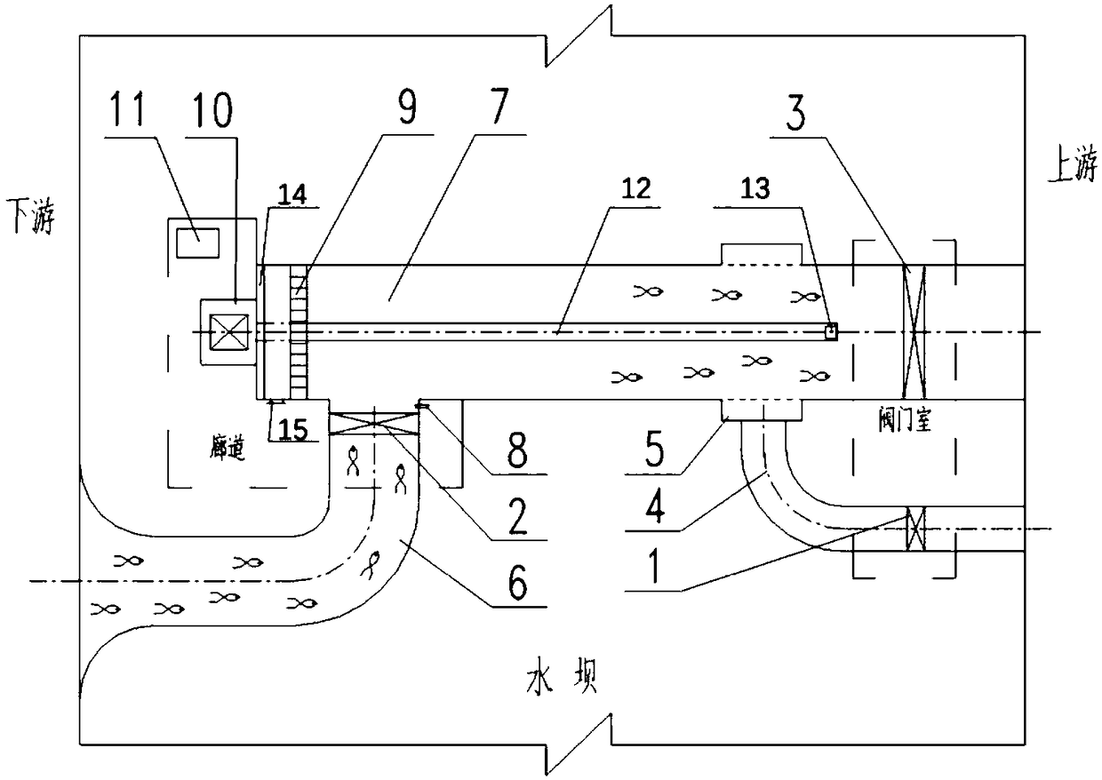 Inducing and driving integrated type dam fish passing device and using method thereof