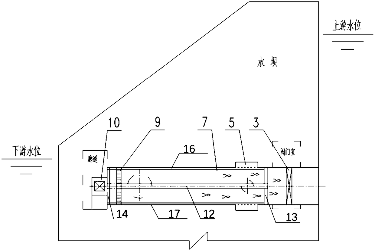 Inducing and driving integrated type dam fish passing device and using method thereof