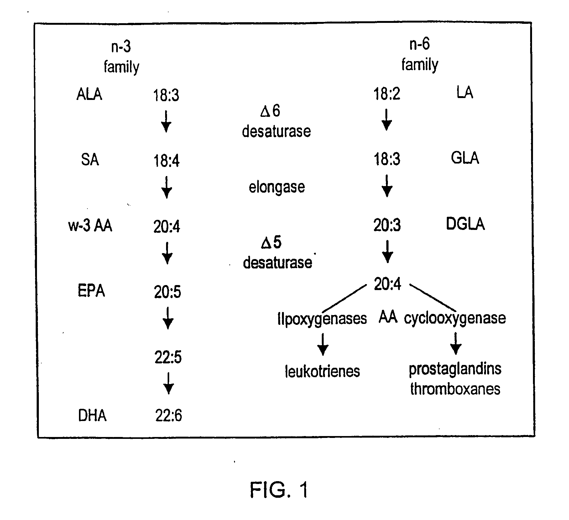 Fatty acid-containing compositions and methods for the treatment of cytokine mediated disorders