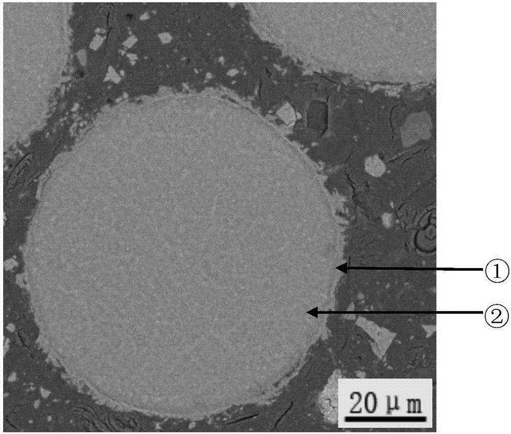 Preparation method of calcium phosphate-coated magnesium powder