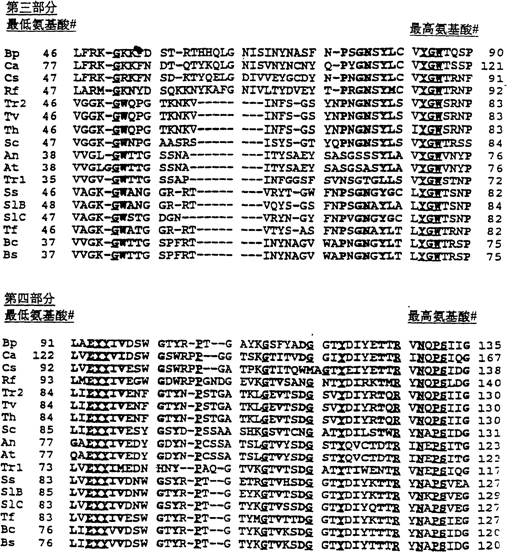 Modification of xylanase to improve thermophilicity, alkophilicity and thermostability