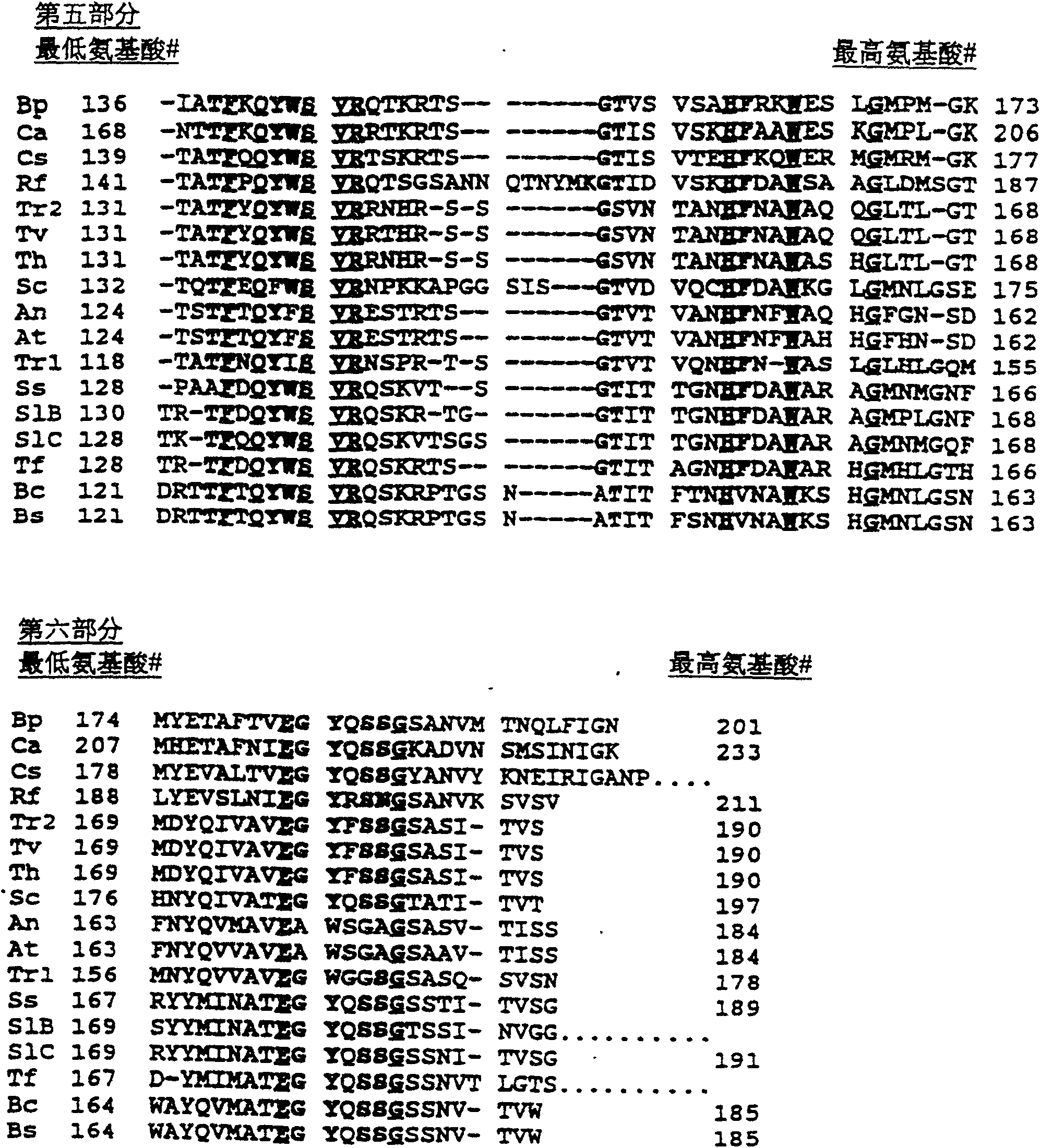 Modification of xylanase to improve thermophilicity, alkophilicity and thermostability