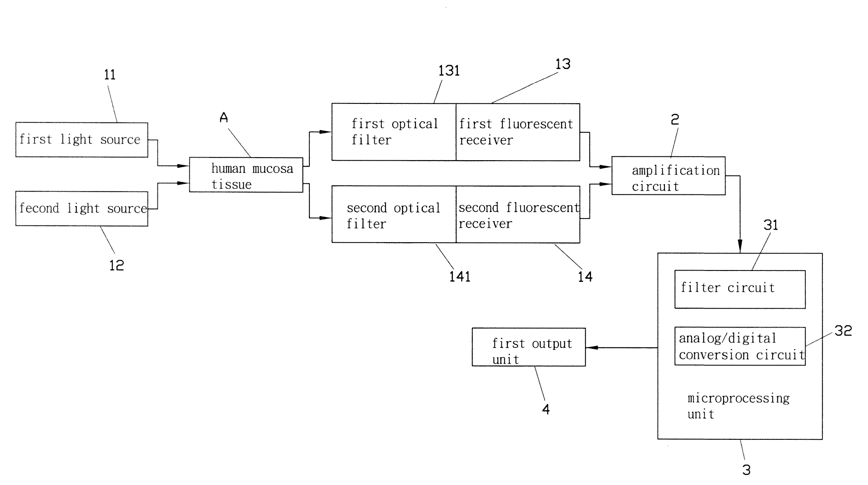 Non-invasive apparatus and method for measuring human metabolic conditions