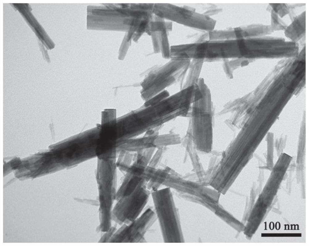 A kind of proton exchange membrane fuel cell anti-reverse anode pt/wo  <sub>3</sub> -mn catalyst and preparation method thereof