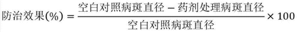 A kind of bactericidal composition containing benthiazoxan and chlorothalonil and application thereof