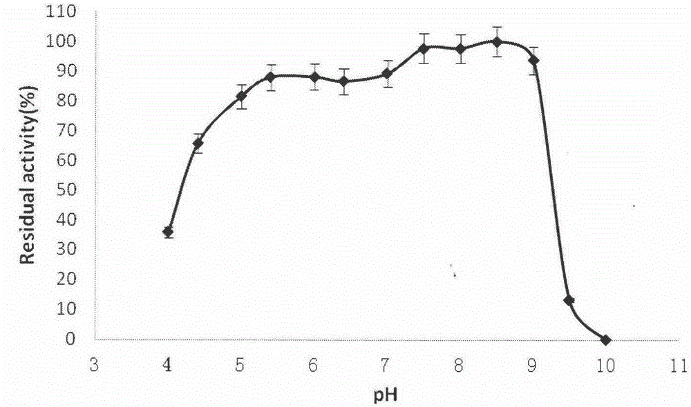 Burkholderia gladioli strain and method for producing alkaline lipase through strain fermentation