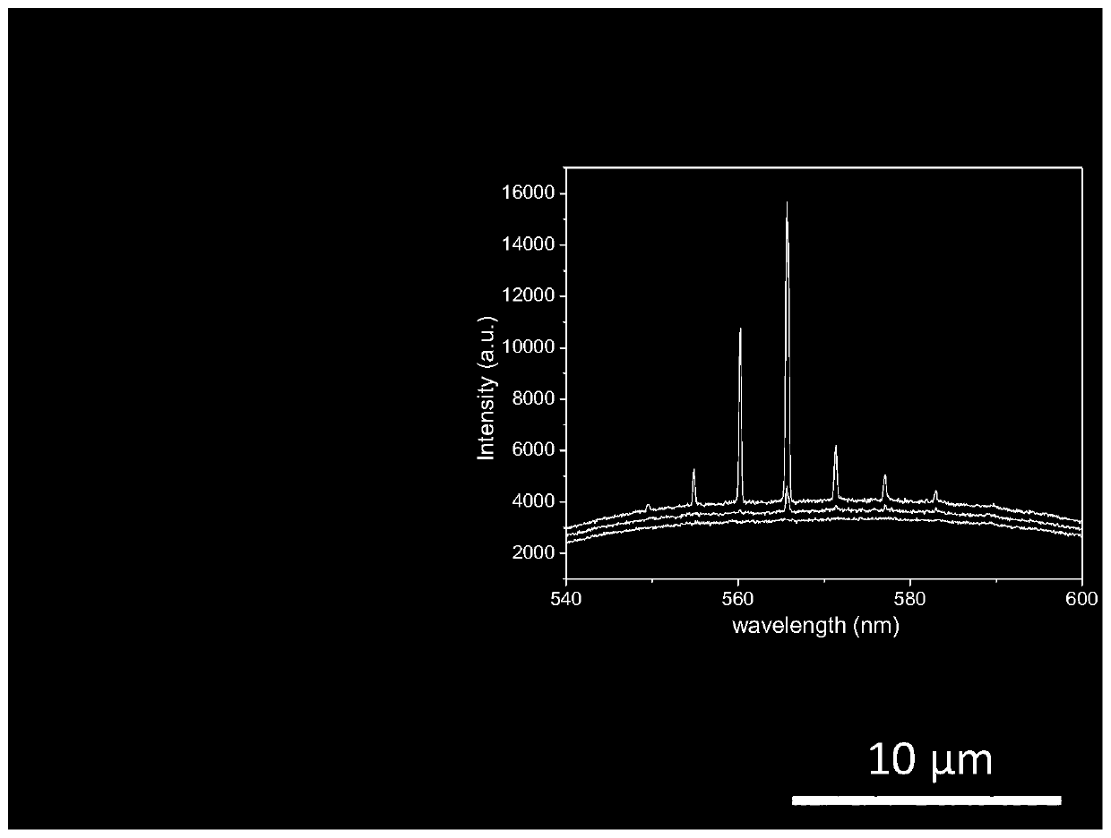 A kind of whispering gallery mode photonics device supported by pillars and its preparation method and application