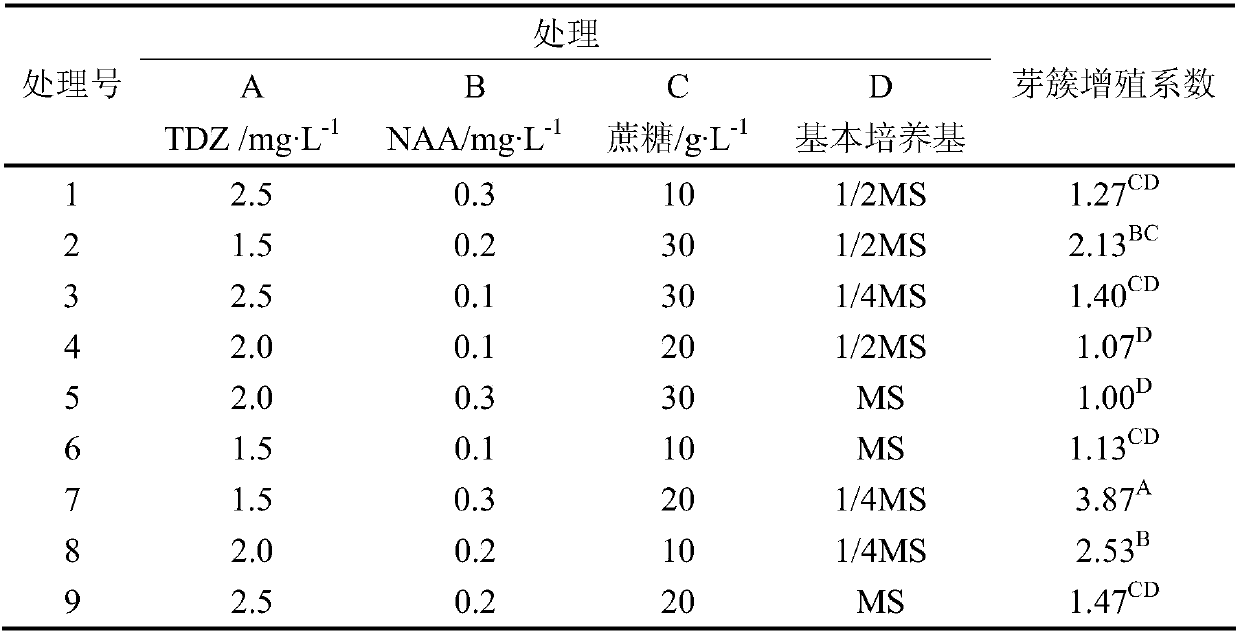 A method for inducing protocorm bud cluster proliferation of rhododendron orchid