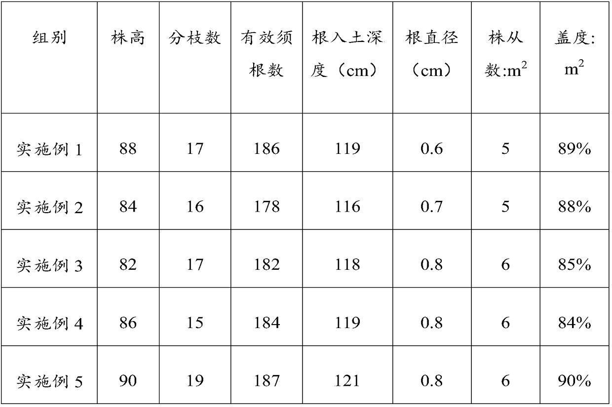 Plant cultivation method for governing sand ditches and method for governing sand ditches