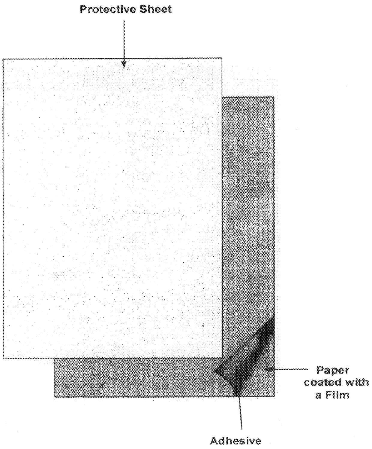 Method for obtaining human skin DNA samples with an adhesive sheet