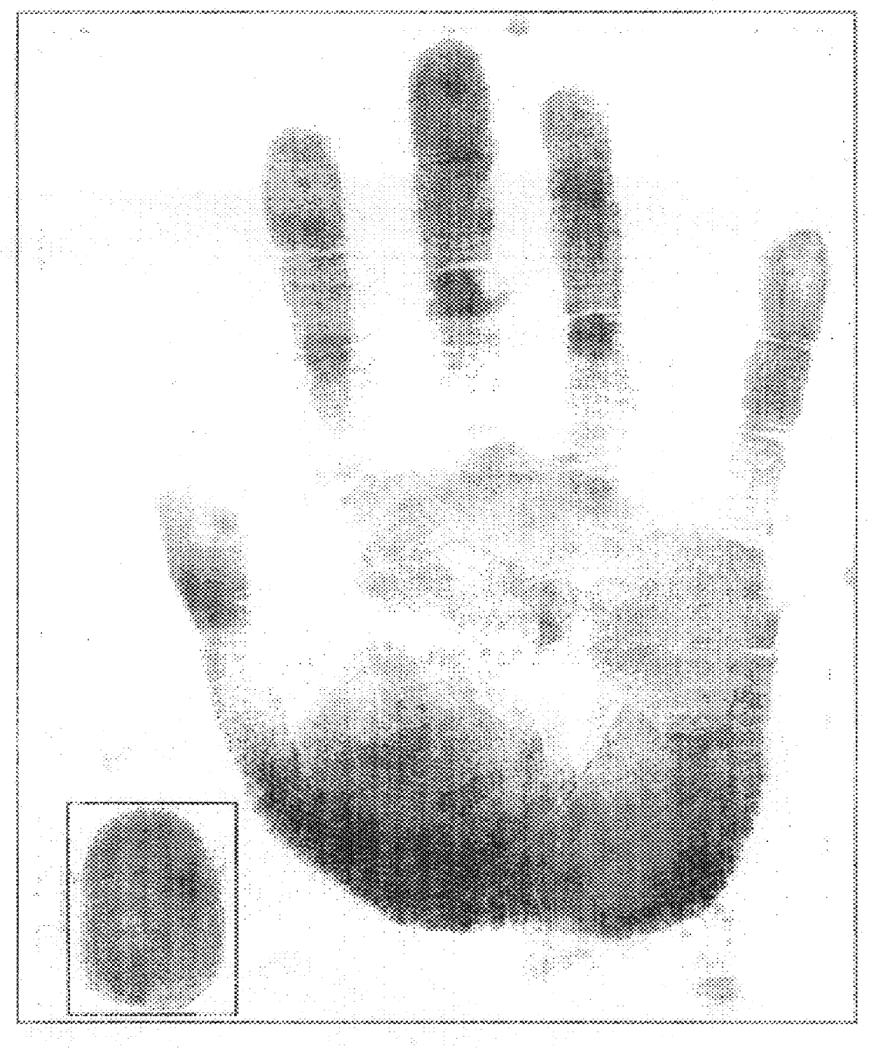 Method for obtaining human skin DNA samples with an adhesive sheet