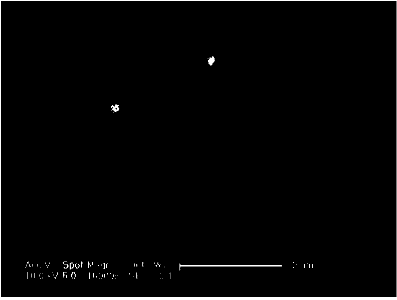 Preparation method of super-plastic magnesium alloy with spherical second phase