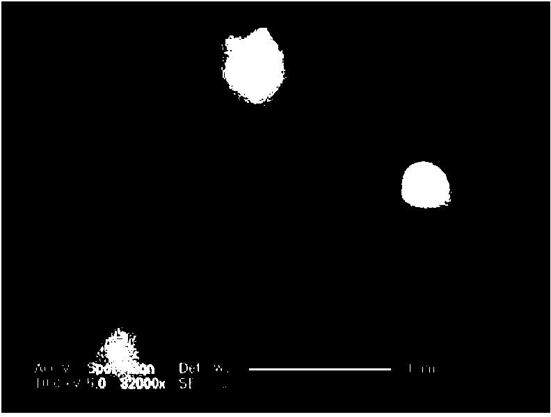 Preparation method of super-plastic magnesium alloy with spherical second phase