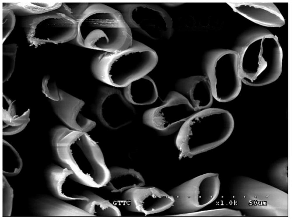 3A-grade natural antibacterial anti-mite kapok fabric and preparation method thereof