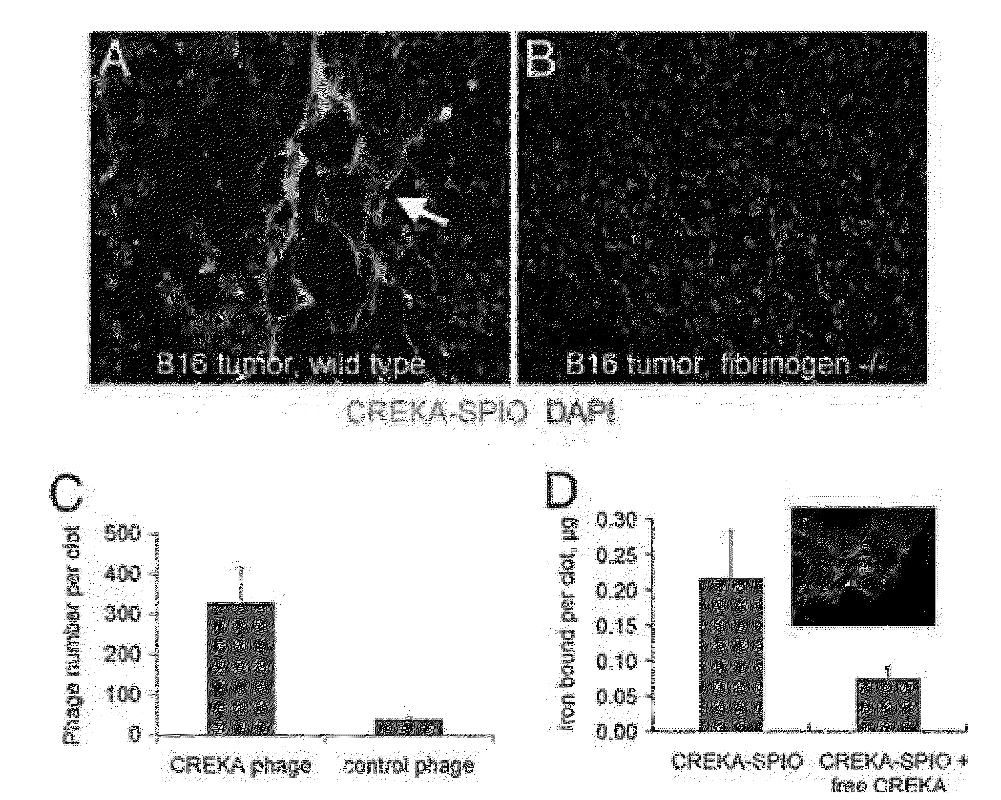 Methods and Compositions Related to Clot Binding Compounds