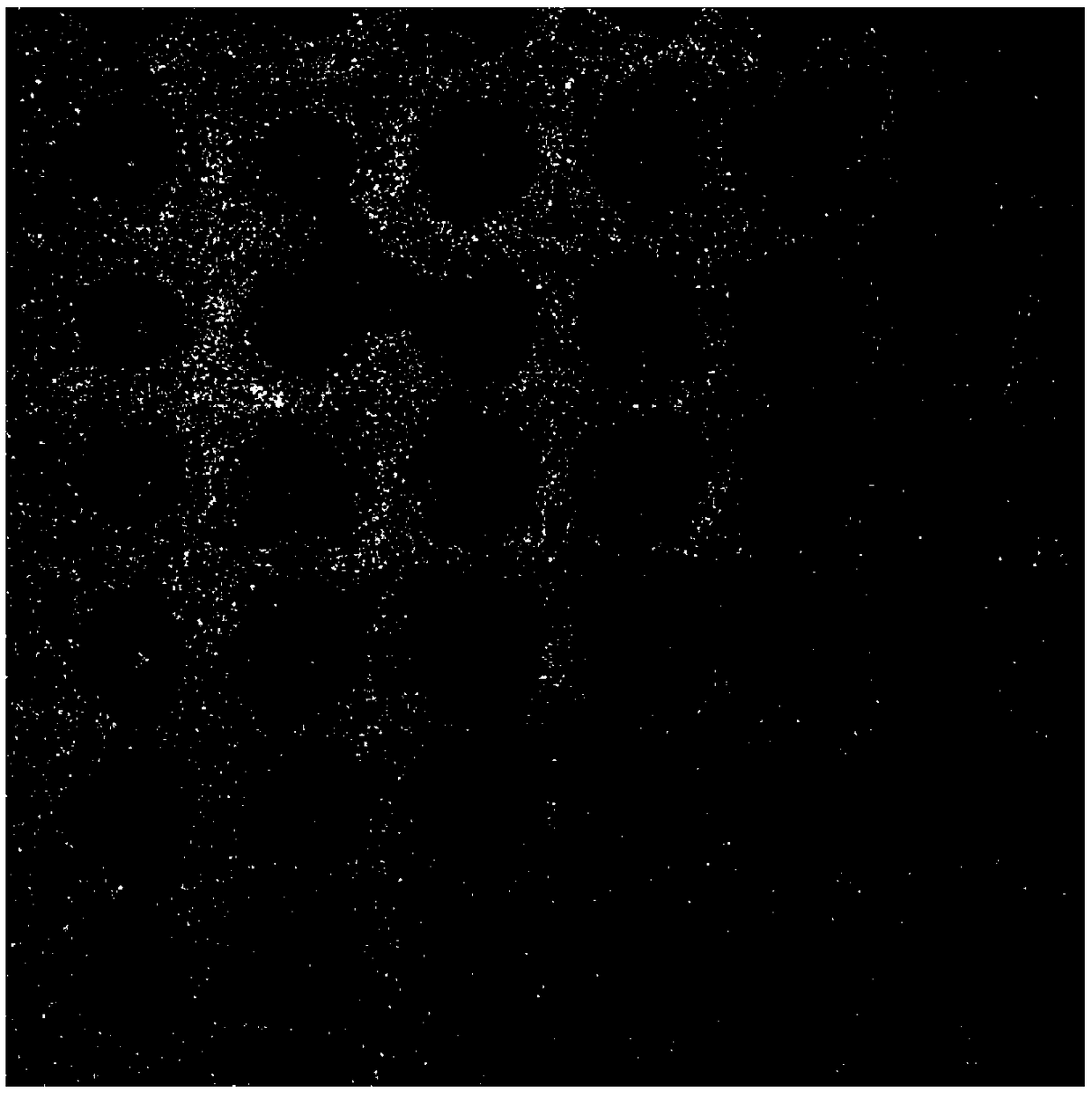 Micro component liquid forming method conducted under composite action of multiple physical fields