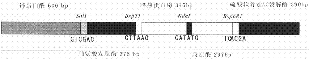 Preparation method of flavobacterium columnare genetic recombination vaccines