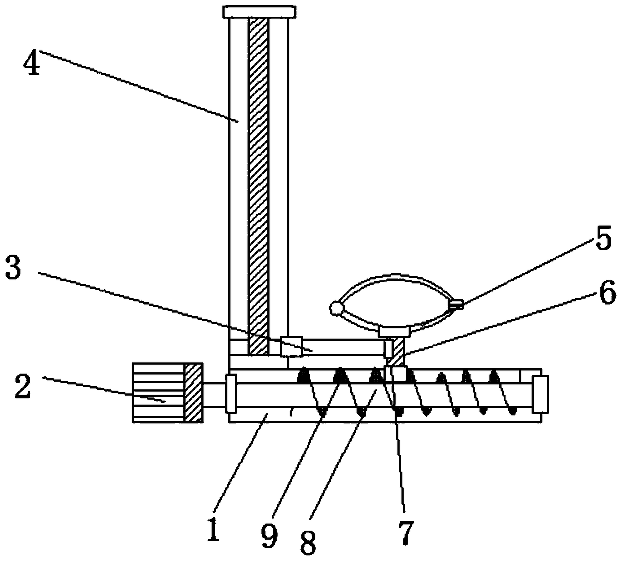 Freezing supporting containing frame for pine