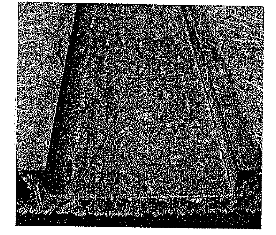 Process for the production of polyurethane molded articles