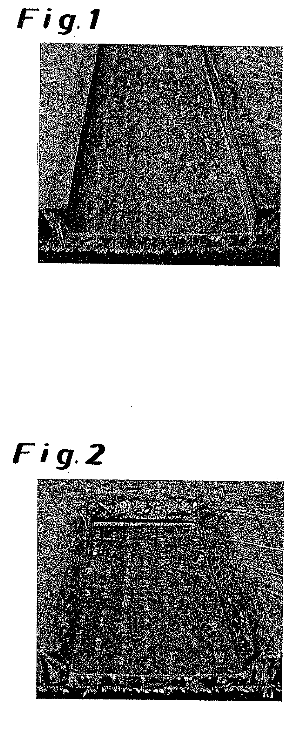 Process for the production of polyurethane molded articles