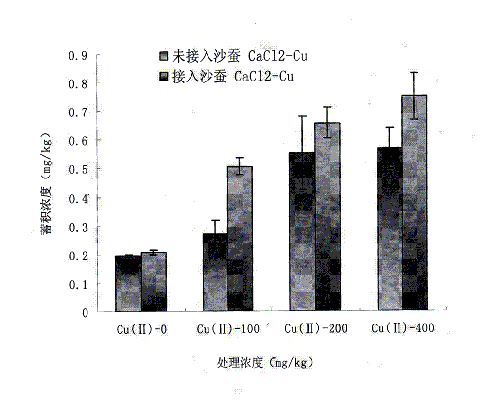 In-situ bioremediation method of marine pollutant sedimentary environment