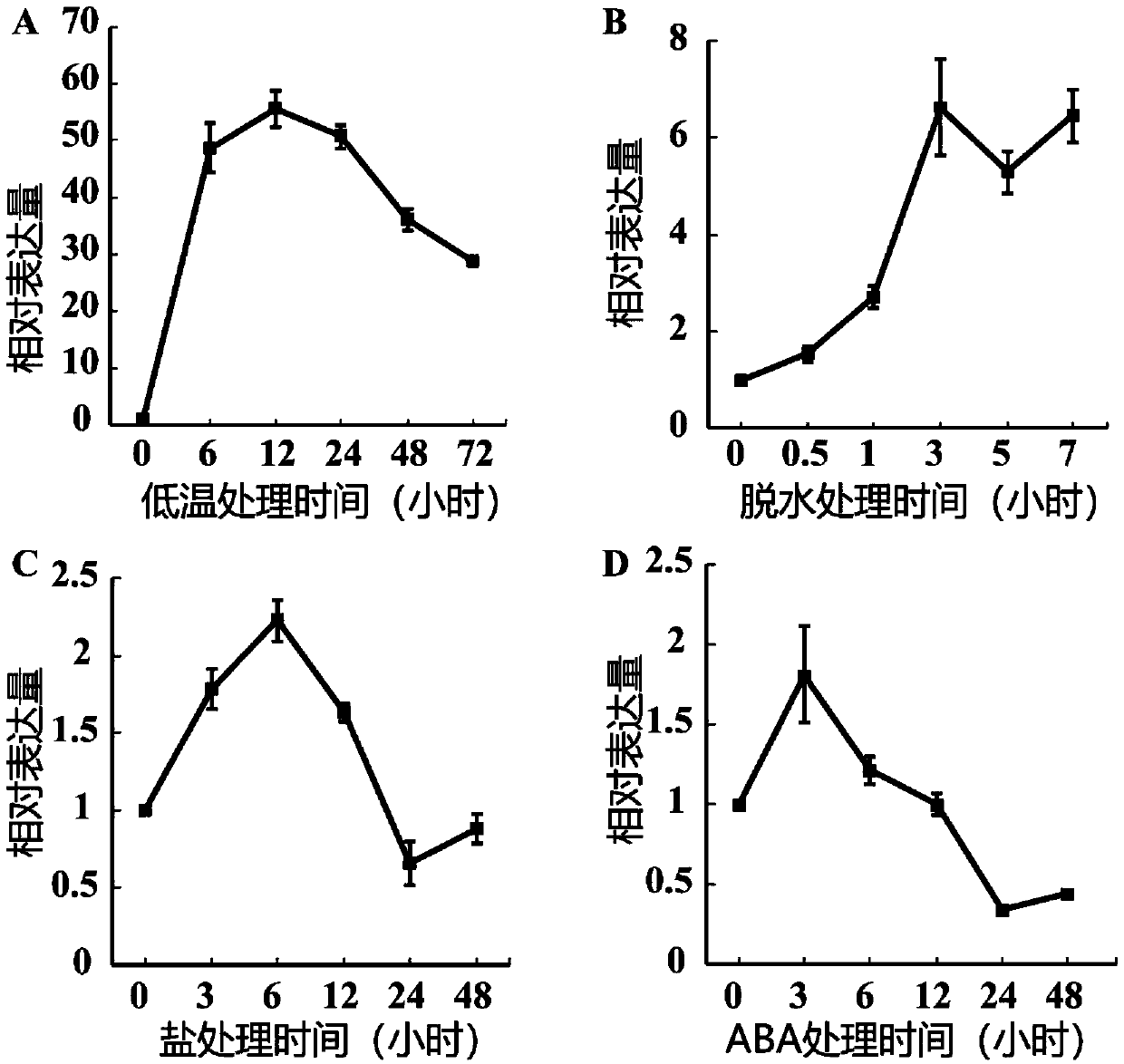 Poncirus trifoliata cold resistant gene PtrTZF1 and application thereof to plant cold resistant heredity improvement