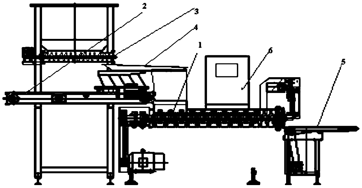 Integrated equipment for paste forming and molding of raw potato products